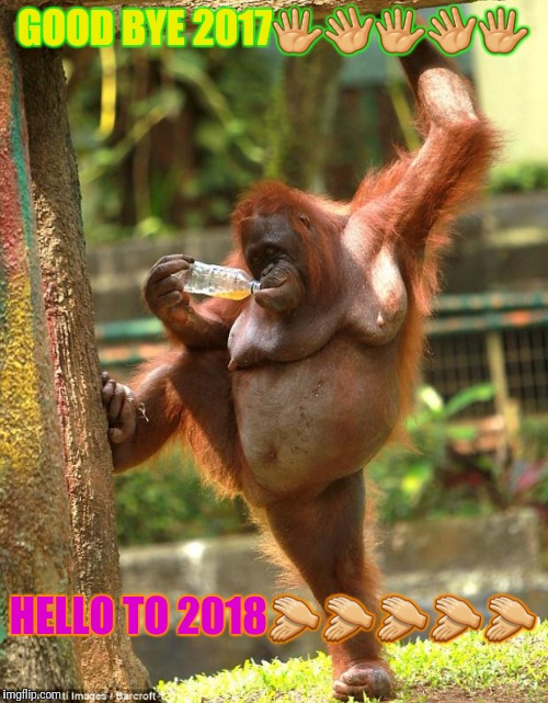 sexy orangutan | GOOD BYE 2017🖐👋🖐👋🖐; HELLO TO 2018👏👏👏👏👏 | image tagged in sexy orangutan | made w/ Imgflip meme maker