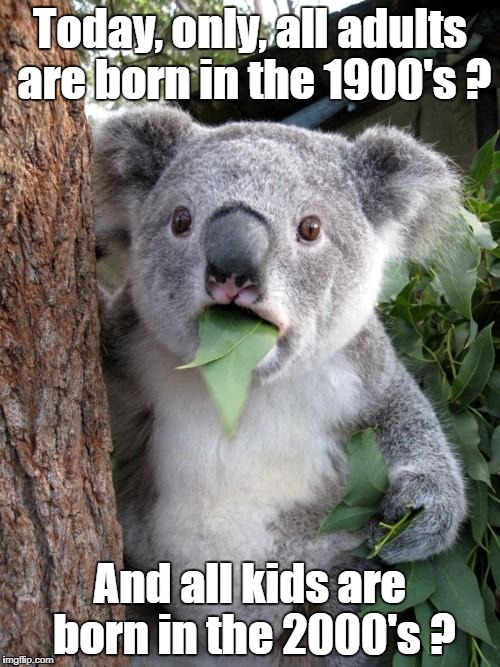 Surprised Koala | Today, only, all adults are born in the 1900's ? And all kids are born in the 2000's ? | image tagged in memes,surprised koala | made w/ Imgflip meme maker