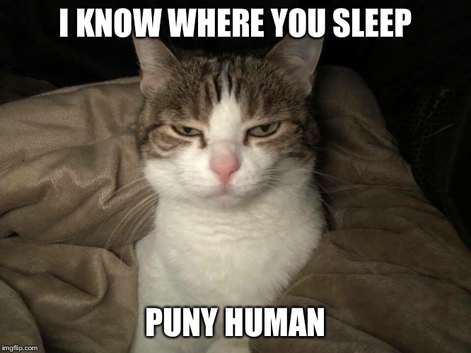 I KNOW WHERE YOU SLEEP; PUNY HUMAN | made w/ Imgflip meme maker