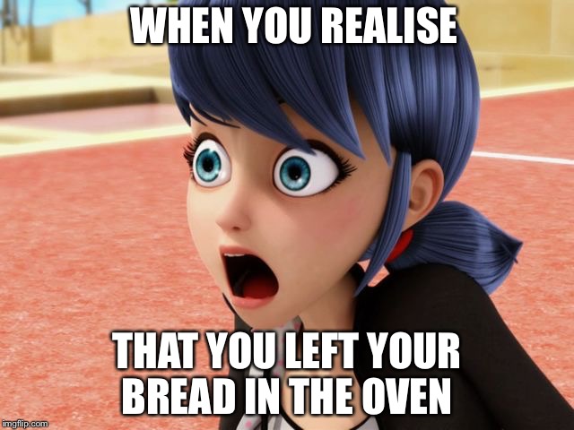 Miraculous Marinette Scared | WHEN YOU REALISE; THAT YOU LEFT YOUR BREAD IN THE OVEN | image tagged in miraculous marinette scared | made w/ Imgflip meme maker
