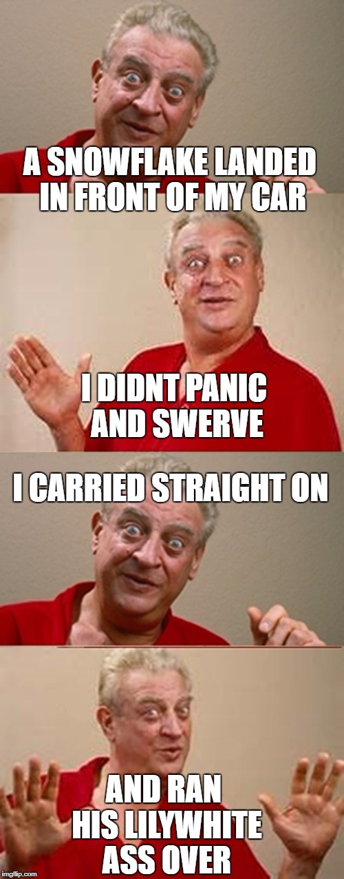 Bad Pun Rodney Dangerfield | A SNOWFLAKE LANDED IN FRONT OF MY CAR; I DIDNT PANIC AND SWERVE; I CARRIED STRAIGHT ON; AND RAN HIS LILYWHITE ASS OVER | image tagged in bad pun rodney dangerfield | made w/ Imgflip meme maker