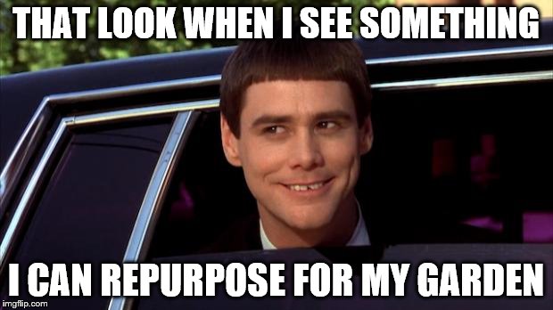 Dumb and Dumber | THAT LOOK WHEN I SEE SOMETHING; I CAN REPURPOSE FOR MY GARDEN | image tagged in dumb and dumber | made w/ Imgflip meme maker