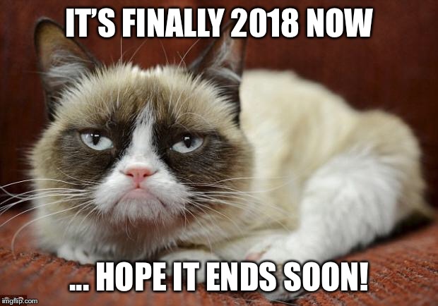 Grumpy Cat New Year | IT’S FINALLY 2018 NOW; ... HOPE IT ENDS SOON! | image tagged in grumpy cat new year | made w/ Imgflip meme maker