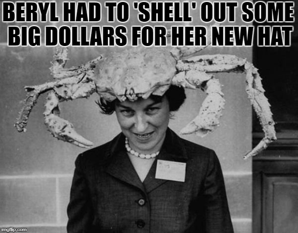 Deal With It! |  BERYL HAD TO 'SHELL' OUT SOME BIG DOLLARS FOR HER NEW HAT | image tagged in memes,meme,deal with it,crab,crabs,hats | made w/ Imgflip meme maker