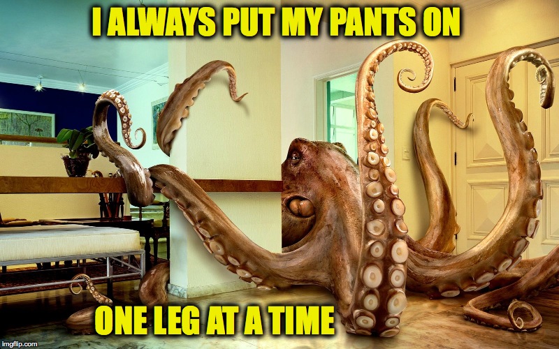 Cephalopod Logic | I ALWAYS PUT MY PANTS ON; ONE LEG AT A TIME | image tagged in octopus in the room | made w/ Imgflip meme maker