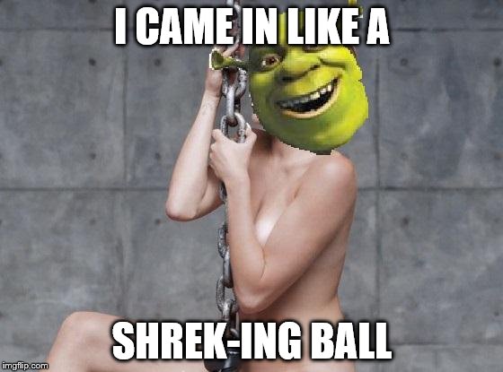 Miley Cyrus Shrek | I CAME IN LIKE A; SHREK-ING BALL | image tagged in miley cyrus shrek | made w/ Imgflip meme maker