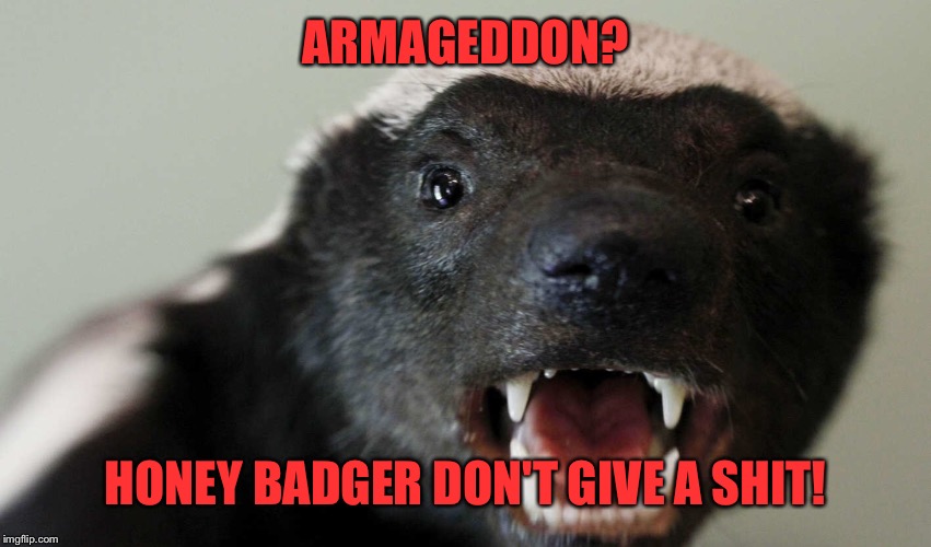 ARMAGEDDON? HONEY BADGER DON'T GIVE A SHIT! | made w/ Imgflip meme maker