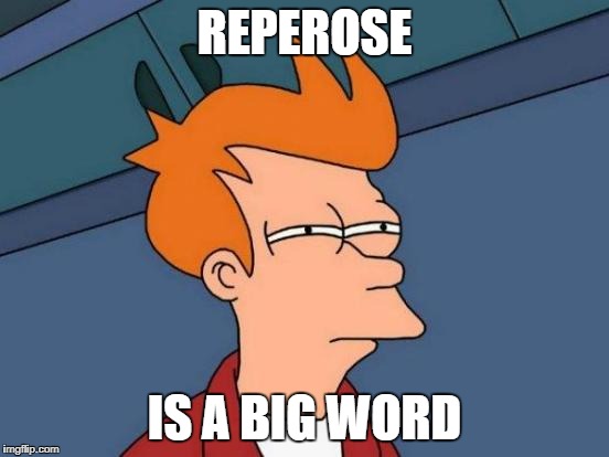 Futurama Fry Meme | REPEROSE IS A BIG WORD | image tagged in memes,futurama fry | made w/ Imgflip meme maker