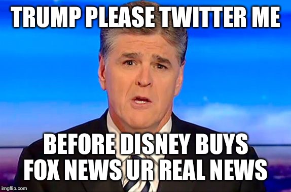 Sean Hannity Fox News | TRUMP PLEASE TWITTER ME; BEFORE DISNEY BUYS FOX NEWS UR REAL NEWS | image tagged in sean hannity fox news | made w/ Imgflip meme maker