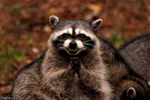 Evil Plotting Raccoon | image tagged in memes,evil plotting raccoon | made w/ Imgflip meme maker