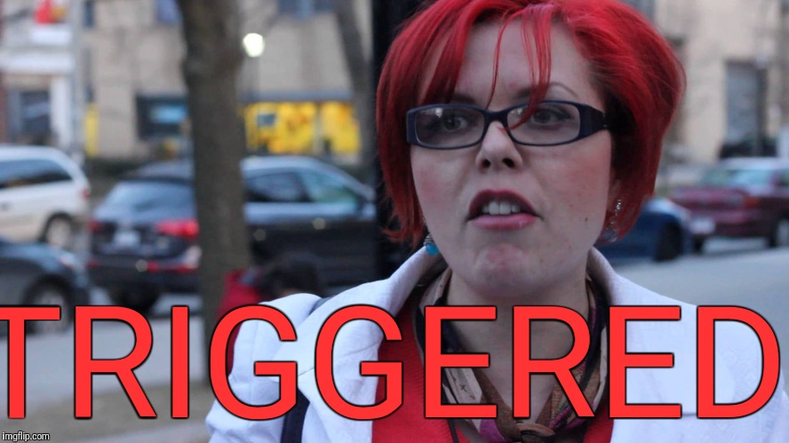 TRIGGERED | made w/ Imgflip meme maker