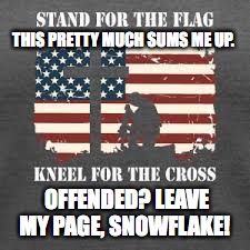 THIS PRETTY MUCH SUMS ME UP. OFFENDED? LEAVE MY PAGE, SNOWFLAKE! | image tagged in memes,funny,patriotic,america,patriotism,christian | made w/ Imgflip meme maker