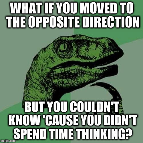 Philosoraptor Meme | WHAT IF YOU MOVED TO THE OPPOSITE DIRECTION BUT YOU COULDN'T KNOW 'CAUSE YOU DIDN'T SPEND TIME THINKING? | image tagged in memes,philosoraptor | made w/ Imgflip meme maker