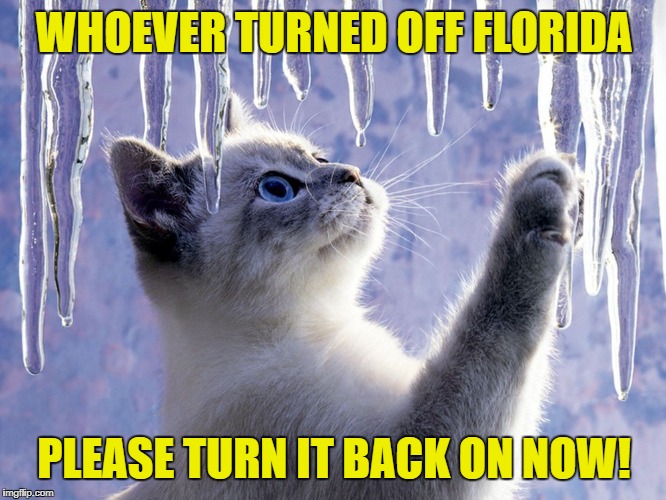 icicles | WHOEVER TURNED OFF FLORIDA; PLEASE TURN IT BACK ON NOW! | image tagged in icicles | made w/ Imgflip meme maker