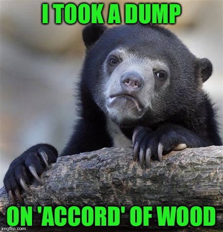 Confession Bear Meme | I TOOK A DUMP ON 'ACCORD' OF WOOD | image tagged in memes,confession bear | made w/ Imgflip meme maker