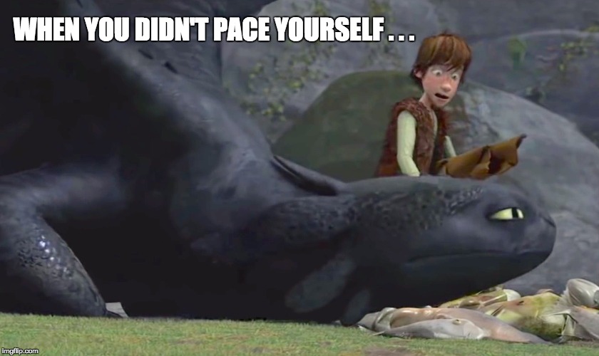 WHEN YOU DIDN'T PACE YOURSELF . . . | image tagged in how to train your dragon,toothless,hiccup | made w/ Imgflip meme maker