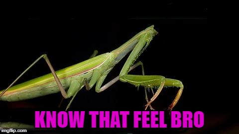 KNOW THAT FEEL BRO | made w/ Imgflip meme maker
