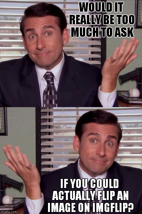 imgflip, Y U No Can Flip Img?! | WOULD IT REALLY BE TOO MUCH TO ASK; IF YOU COULD ACTUALLY FLIP AN IMAGE ON IMGFLIP? | image tagged in imgflip,meme,funny,michael scott | made w/ Imgflip meme maker