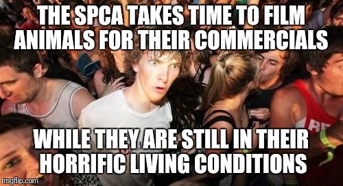 Sudden Clarity Clarence Meme | THE SPCA TAKES TIME TO FILM ANIMALS FOR THEIR COMMERCIALS; WHILE THEY ARE STILL IN THEIR HORRIFIC LIVING CONDITIONS | image tagged in memes,sudden clarity clarence | made w/ Imgflip meme maker