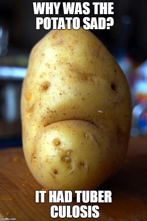 sad pun potato | WHY WAS THE POTATO SAD? IT HAD TUBER CULOSIS | image tagged in sad potato,tuberculosis,tb,potato,potatoes,puns | made w/ Imgflip meme maker