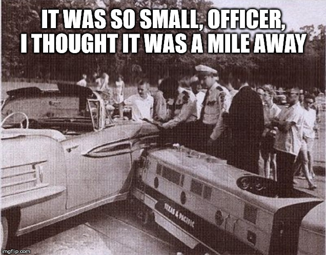 It Was So Small, Officer | IT WAS SO SMALL, OFFICER,    I THOUGHT IT WAS A MILE AWAY | image tagged in zoo,railroad,grade crossing accident,miniature train | made w/ Imgflip meme maker