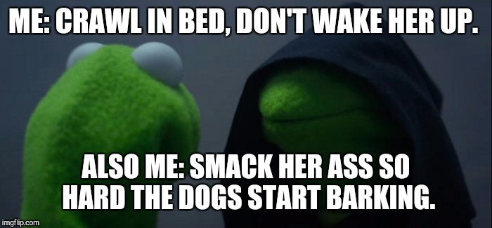 Evil Kermit | ME: CRAWL IN BED, DON'T WAKE HER UP. ALSO ME: SMACK HER ASS SO HARD THE DOGS START BARKING. | image tagged in memes,evil kermit | made w/ Imgflip meme maker