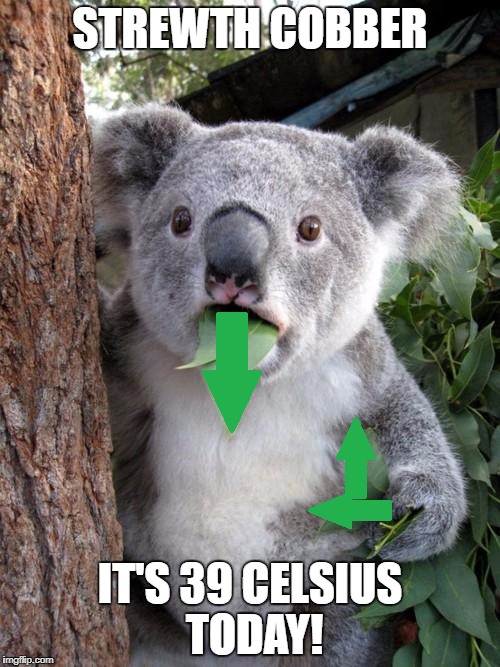 STREWTH COBBER IT'S 39 CELSIUS TODAY! | made w/ Imgflip meme maker