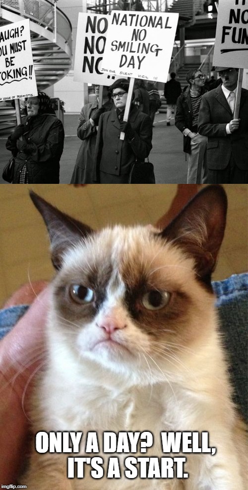 Grumpy Cat | ONLY A DAY?  WELL, IT'S A START. | image tagged in grumpy cat,memes,meme,funny,protest | made w/ Imgflip meme maker