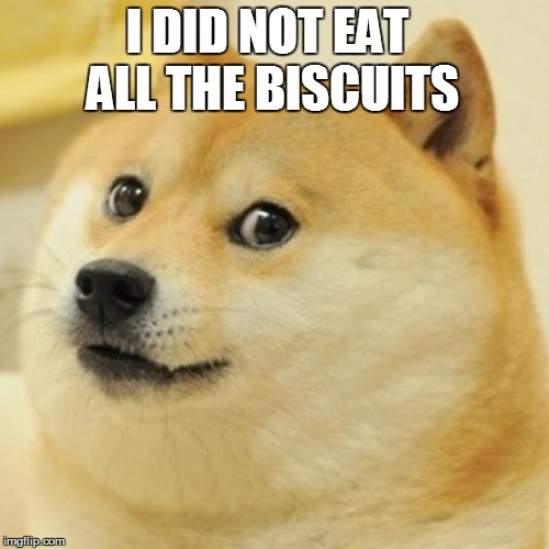 Doge Meme | I DID NOT EAT ALL THE BISCUITS | image tagged in memes,doge | made w/ Imgflip meme maker