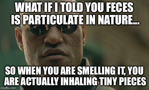 Matrix Morpheus | WHAT IF I TOLD YOU FECES IS PARTICULATE IN NATURE... SO WHEN YOU ARE SMELLING IT, YOU ARE ACTUALLY INHALING TINY PIECES | image tagged in memes,matrix morpheus | made w/ Imgflip meme maker