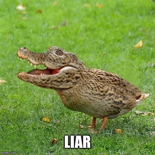 Crocoduck | LIAR | image tagged in crocoduck | made w/ Imgflip meme maker