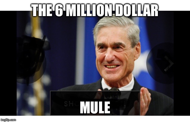 Robert Mueller is the six million dollar man | THE 6 MILLION DOLLAR MULE | image tagged in robert mueller is the six million dollar man | made w/ Imgflip meme maker