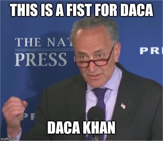 I feel for you... I think .. I love you~  and this meme is meme-spirited... | THIS IS A FIST FOR DACA DACA KHAN | image tagged in mean spirited,chaka khan stole my sweater,mean spirited up chuck shlongstewmer | made w/ Imgflip meme maker