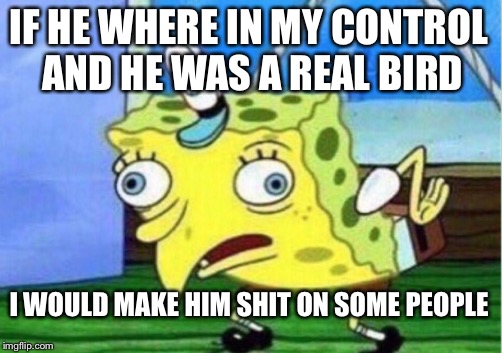 Mocking Spongebob | IF HE WHERE IN MY CONTROL AND HE WAS A REAL BIRD; I WOULD MAKE HIM SHIT ON SOME PEOPLE | image tagged in memes,mocking spongebob | made w/ Imgflip meme maker