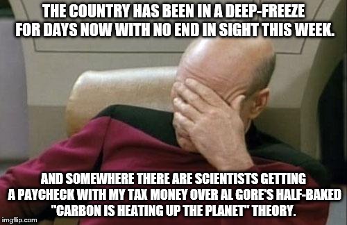 The emperor has no clothes. | THE COUNTRY HAS BEEN IN A DEEP-FREEZE FOR DAYS NOW WITH NO END IN SIGHT THIS WEEK. AND SOMEWHERE THERE ARE SCIENTISTS GETTING A PAYCHECK WITH MY TAX MONEY OVER AL GORE'S HALF-BAKED "CARBON IS HEATING UP THE PLANET" THEORY. | image tagged in memes,captain picard facepalm | made w/ Imgflip meme maker