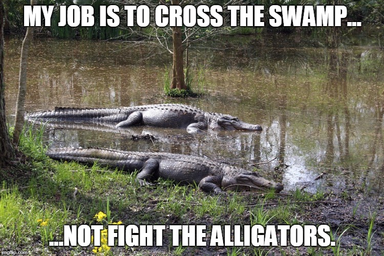 Swamp Alligators | MY JOB IS TO CROSS THE SWAMP... ...NOT FIGHT THE ALLIGATORS. | image tagged in swamp,alligators,trump,republicans,midterms,cleansweep | made w/ Imgflip meme maker
