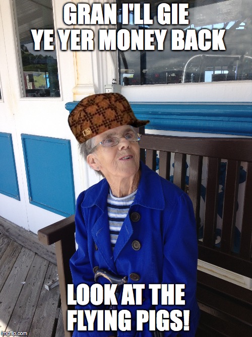 my wee glaswegian gran | GRAN I'LL GIE YE YER MONEY BACK; LOOK AT THE FLYING PIGS! | image tagged in scumbag hat,grandma finds the internet,love wins,money money | made w/ Imgflip meme maker