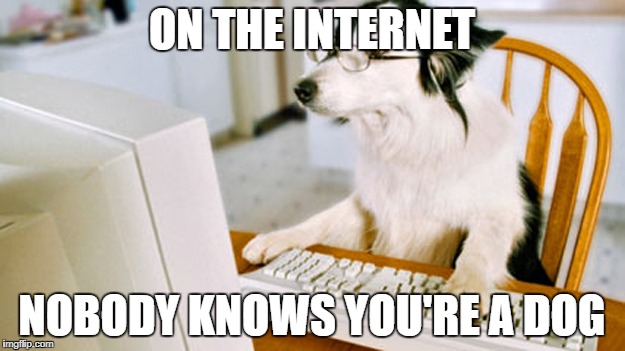 ON THE INTERNET; NOBODY KNOWS YOU'RE A DOG | image tagged in internet dog | made w/ Imgflip meme maker