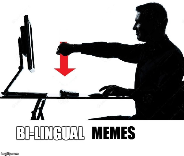 MEMES BI-LINGUAL | made w/ Imgflip meme maker