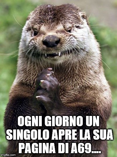 Evil Otter Meme | OGNI GIORNO UN SINGOLO APRE LA SUA PAGINA DI A69.... | image tagged in memes,evil otter | made w/ Imgflip meme maker