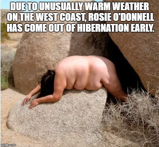 rosie | DUE TO UNUSUALLY WARM WEATHER ON THE WEST COAST, ROSIE O'DONNELL HAS COME OUT OF HIBERNATION EARLY. | image tagged in rosie | made w/ Imgflip meme maker