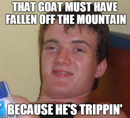 10 Guy Meme | THAT GOAT MUST HAVE FALLEN OFF THE MOUNTAIN BECAUSE HE'S TRIPPIN' | image tagged in memes,10 guy | made w/ Imgflip meme maker