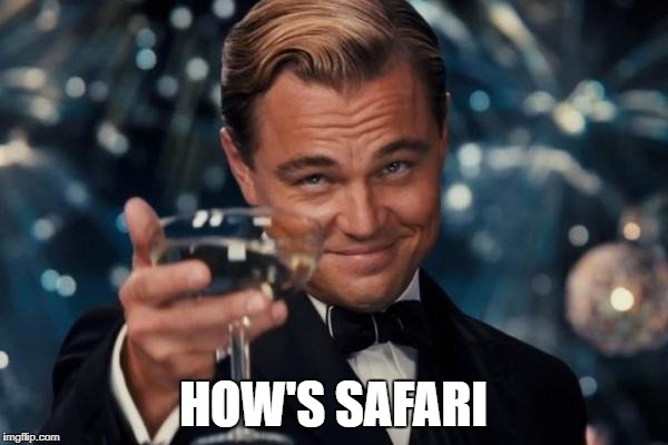 Leonardo Dicaprio Cheers Meme | HOW'S SAFARI | image tagged in memes,leonardo dicaprio cheers | made w/ Imgflip meme maker