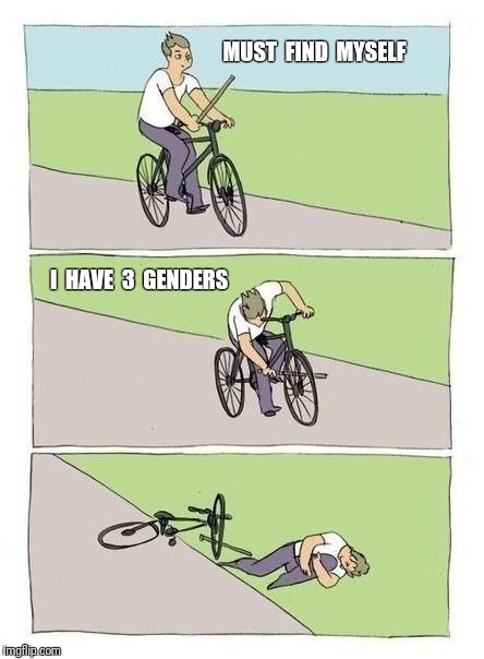 Progressive Bicycler | MUST  FIND  MYSELF; I  HAVE  3  GENDERS | image tagged in bicycle,genders,gender identity,gender | made w/ Imgflip meme maker