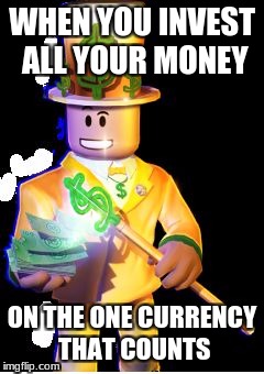 Robux | WHEN YOU INVEST ALL YOUR MONEY; ON THE ONE CURRENCY THAT COUNTS | image tagged in robux | made w/ Imgflip meme maker