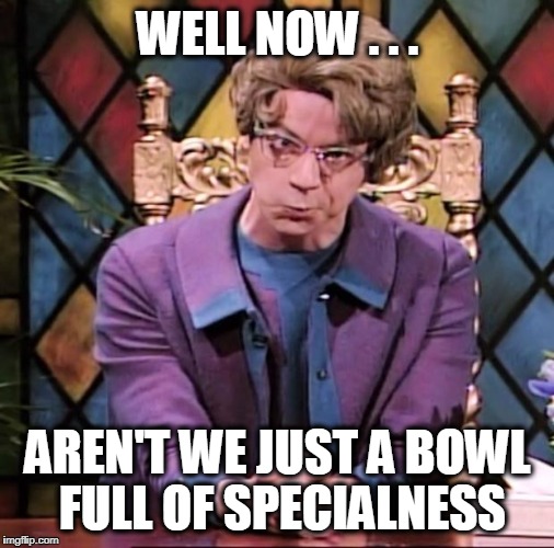WELL NOW . . . AREN'T WE JUST A BOWL FULL OF SPECIALNESS | image tagged in church lady | made w/ Imgflip meme maker