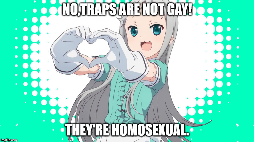 Are traps gay? | NO,TRAPS ARE NOT GAY! THEY'RE HOMOSEXUAL. | image tagged in anime | made w/ Imgflip meme maker