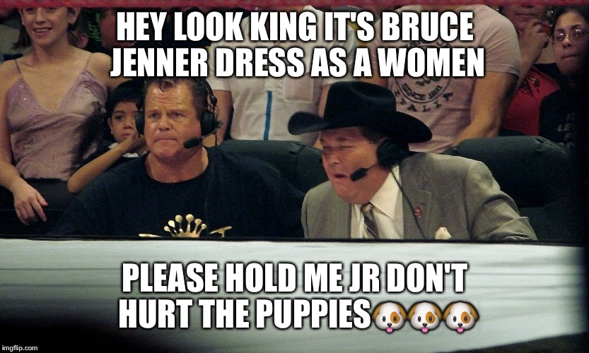 Jim Ross | HEY LOOK KING IT'S BRUCE JENNER DRESS AS A WOMEN; PLEASE HOLD ME JR DON'T HURT THE PUPPIES🐶🐶🐶 | image tagged in jim ross | made w/ Imgflip meme maker
