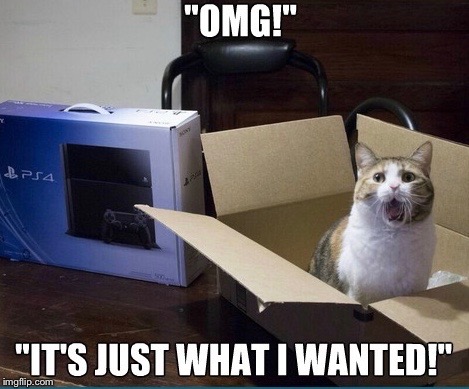 Cats love Boxing Day | “OMG!”; “IT’S JUST WHAT I WANTED!” | image tagged in memes,cats,boxing day | made w/ Imgflip meme maker