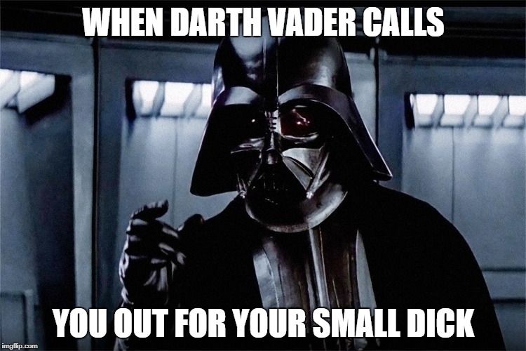 Star Wars Memes | WHEN DARTH VADER CALLS; YOU OUT FOR YOUR SMALL DICK | image tagged in darth vader | made w/ Imgflip meme maker
